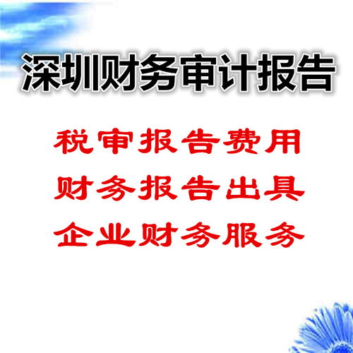 深圳企業(yè)財務審計報告編制全流程指南